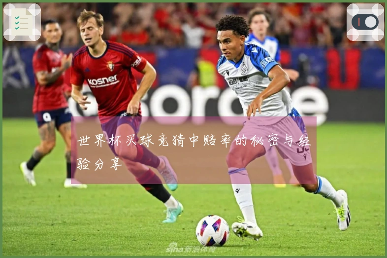 世界杯买球竞猜中赔率的秘密与经验分享