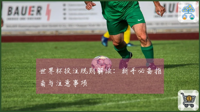世界杯投注规则解读：新手必备指南与注意事项