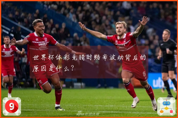 世界杯体彩竞猜时赔率波动背后的原因是什么？