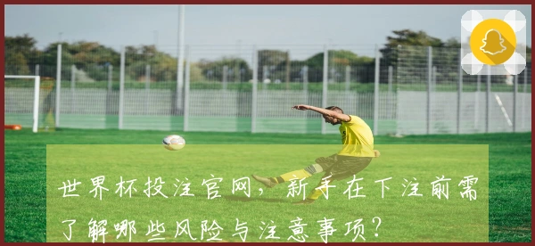 世界杯投注官网,新手在下注前需了解哪些风险与注意事项?