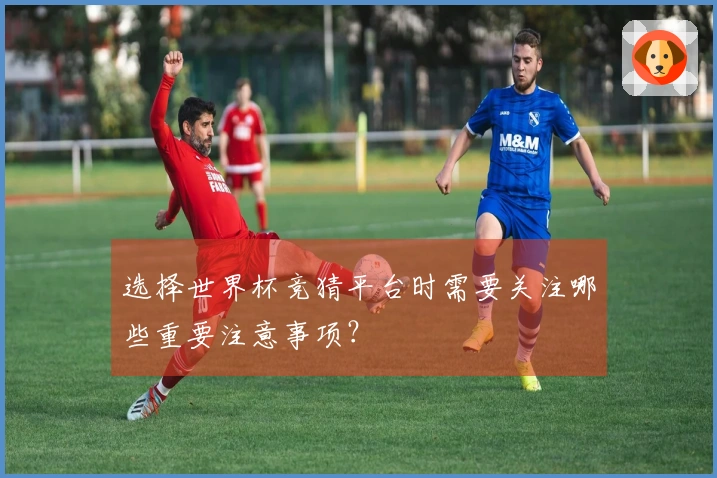 选择世界杯竞猜平台时需要关注哪些重要注意事项？