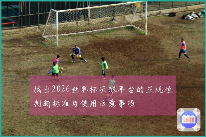 找出2026世界杯买球平台的正规性判断标准与使用注意事项