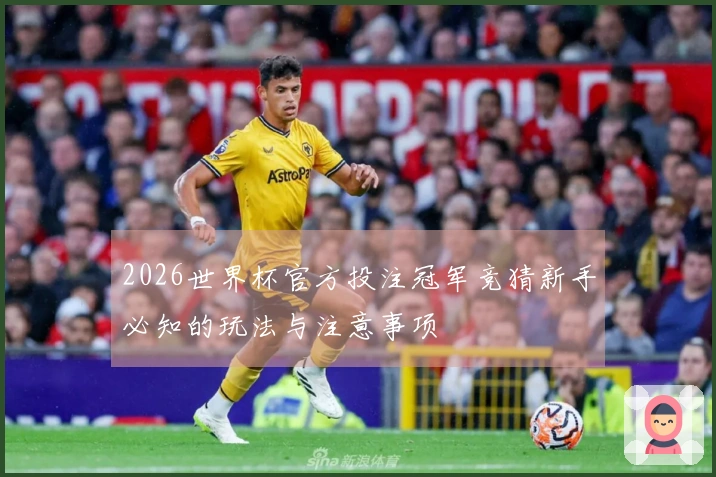 2026世界杯官方投注冠军竞猜新手必知的玩法与注意事项