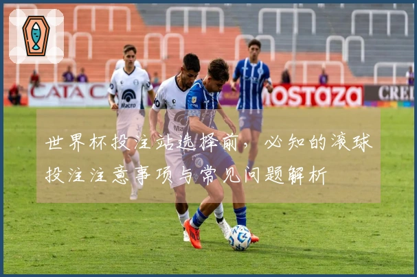世界杯投注站选择前,必知的滚球投注注意事项与常见问题解析