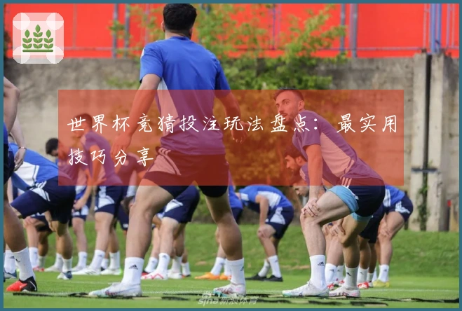 世界杯竞猜投注玩法盘点：最实用技巧分享
