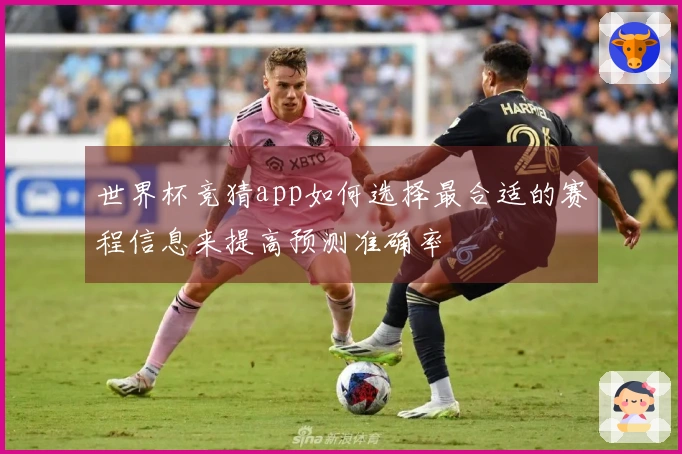 世界杯竞猜app如何选择最合适的赛程信息来提高预测准确率