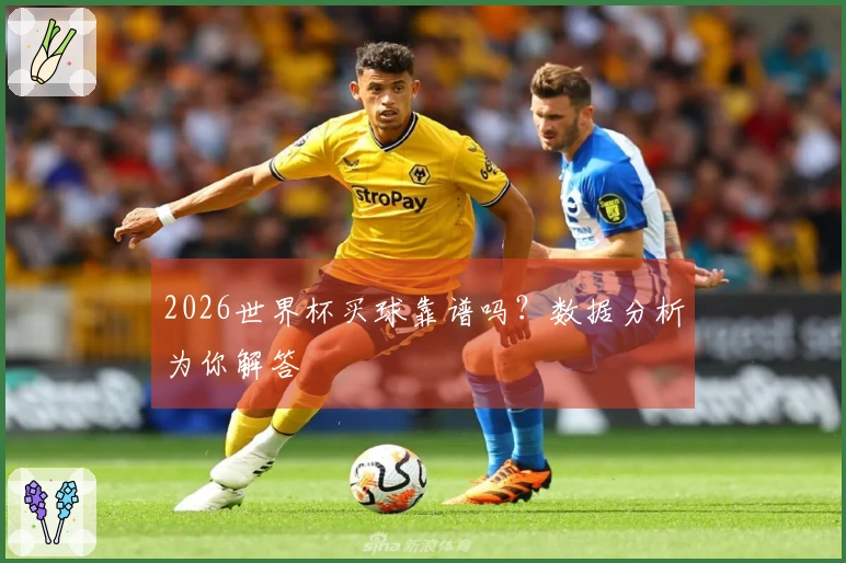 2026世界杯买球靠谱吗？数据分析为你解答