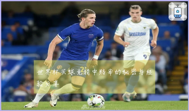 世界杯买球竞猜中赔率的秘密与经验分享
