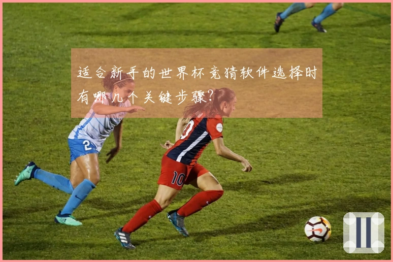 适合新手的世界杯竞猜软件选择时有哪几个关键步骤？