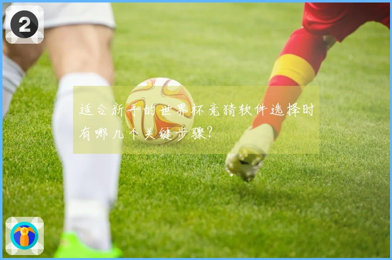 适合新手的世界杯竞猜软件选择时有哪几个关键步骤？