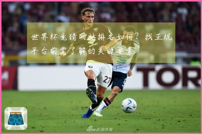 世界杯竞猜网站排名如何？找正规平台前需了解的关键要素