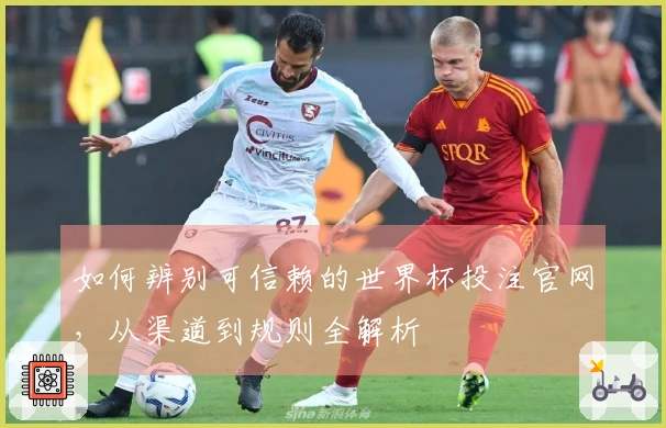 如何辨别可信赖的世界杯投注官网，从渠道到规则全解析