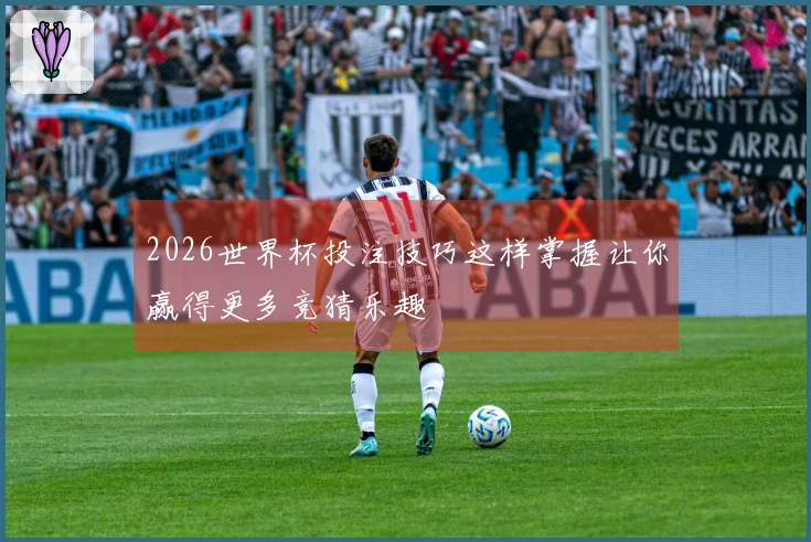 2026世界杯投注技巧这样掌握让你赢得更多竞猜乐趣