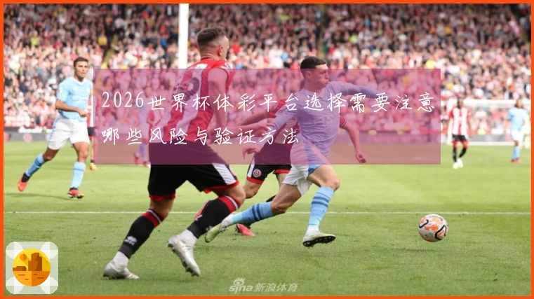 2026世界杯体彩平台选择需要注意哪些风险与验证方法