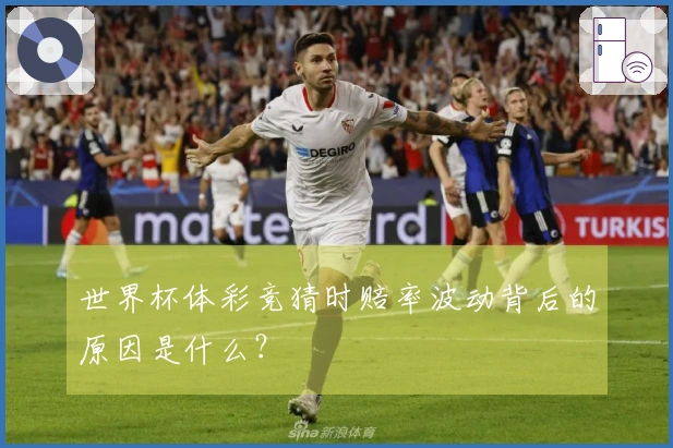 世界杯体彩竞猜时赔率波动背后的原因是什么？