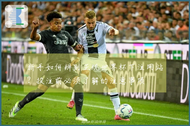 新手如何辨别正规世界杯下注网站？投注前必须了解的注意事项