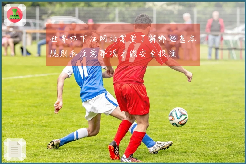 世界杯下注网站需要了解哪些基本规则和注意事项才能安全投注