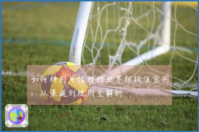 如何辨别可信赖的世界杯投注官网，从渠道到规则全解析