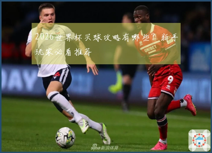 2026世界杯买球攻略有哪些？新手玩家必看推荐