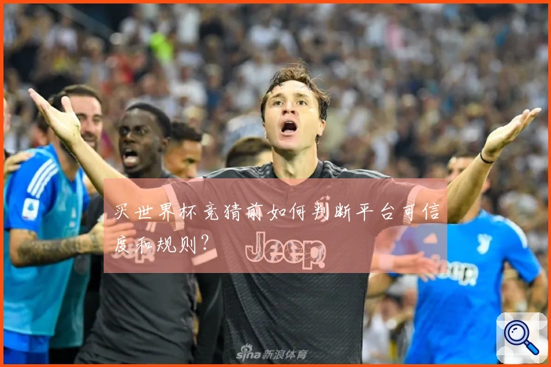 买世界杯竞猜前如何判断平台可信度和规则？