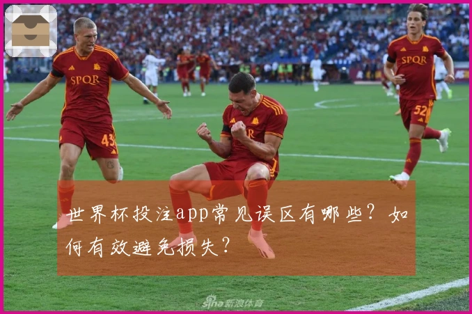 世界杯投注app常见误区有哪些？如何有效避免损失？