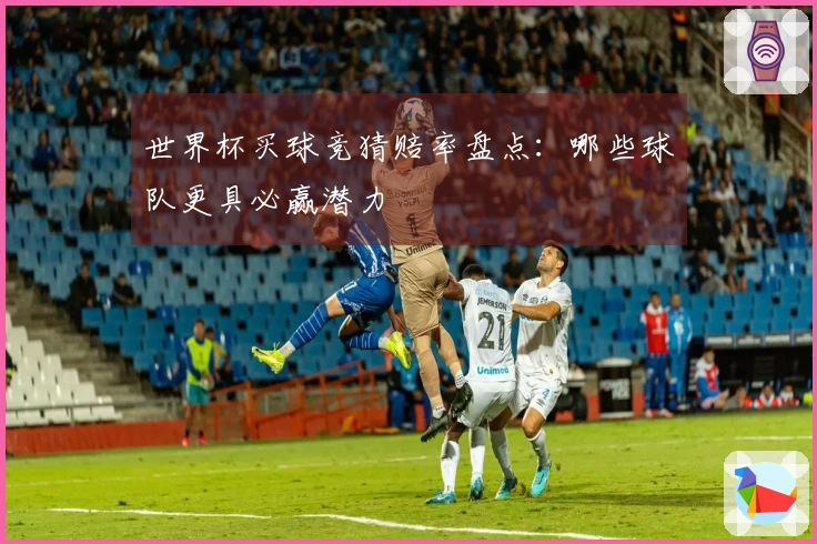 世界杯买球竞猜赔率盘点：哪些球队更具必赢潜力