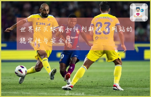 世界杯买球前如何判断投注网站的稳定性与安全性