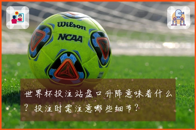 世界杯投注站盘口升降意味着什么?投注时需注意哪些细节?