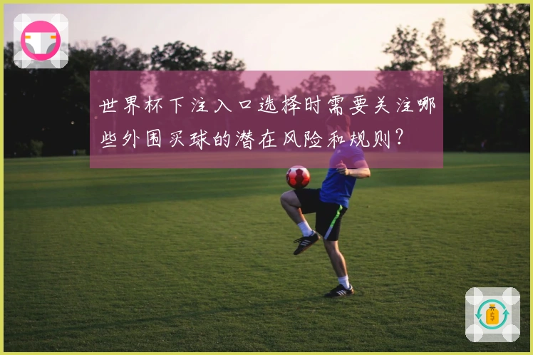 世界杯下注入口选择时需要关注哪些外围买球的潜在风险和规则？