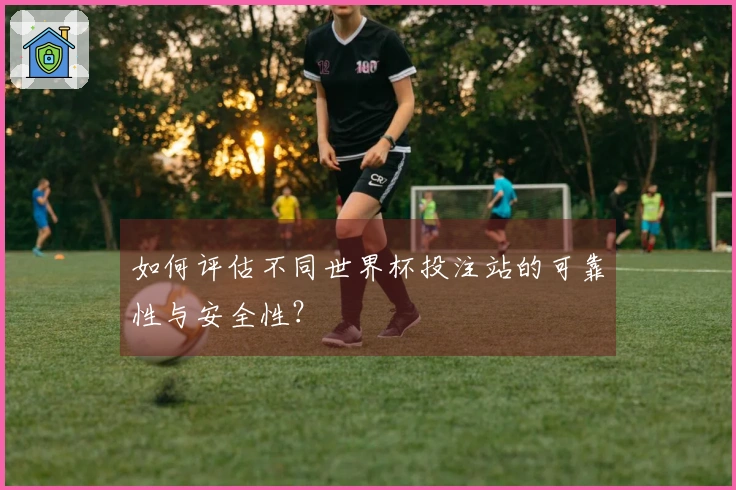 如何评估不同世界杯投注站的可靠性与安全性？