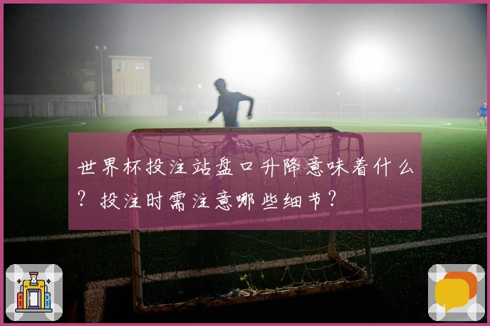 世界杯投注站盘口升降意味着什么？投注时需注意哪些细节？