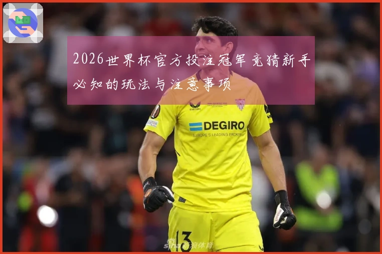 2026世界杯官方投注冠军竞猜新手必知的玩法与注意事项