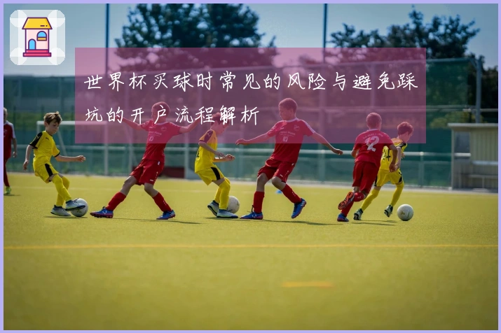 世界杯买球时常见的风险与避免踩坑的开户流程解析
